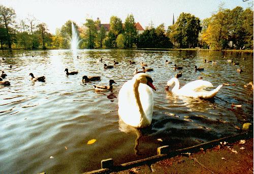 Die Fotos drfen unverndert weiterverwendet und gedruckt werden | www.Cellenser.de