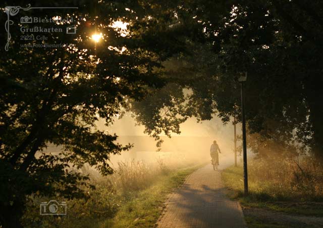 Die Fotos drfen unverndert weiterverwendet und gedruckt werden | www.Cellenser.de